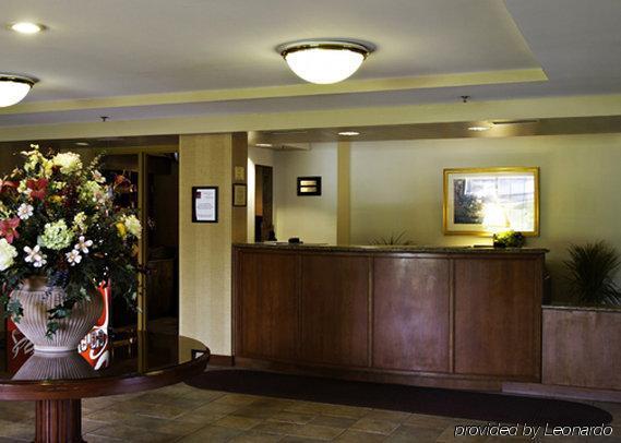 Holiday Inn Baltimore BWI Airport By Ihg Linthicum Inreriör bild